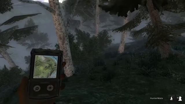 TheHunter Classic addig livelok amíg nem ír vissza apám смотреть онлайн