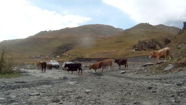 GEORGIA, TUSHETI, DARTLO TOUR. смотреть онлайн