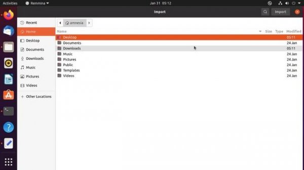 How to connect anonymous remote desktop rdp on Linux OS using remmina
