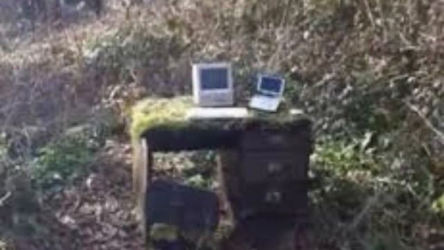 cursed images part 9 (PC edition) смотреть онлайн