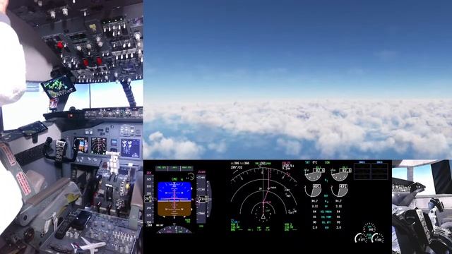 Boeing 737-800 Live Cockpit Simulator