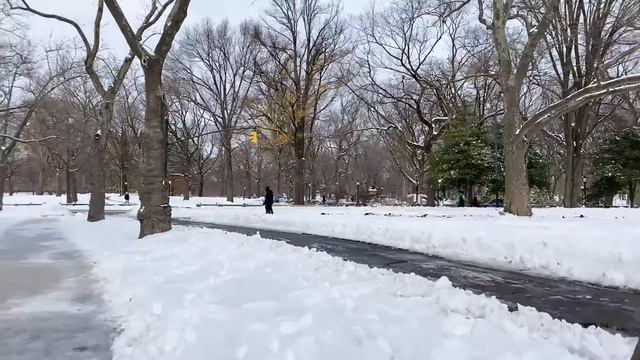Central Park New York City Live after heavy Snowstorm ❄️ (December 18, 2020) смотреть онлайн