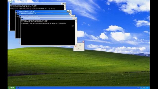 Baldi is a virus, Windows XP смотреть онлайн