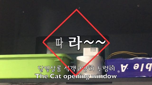Cat opening window смотреть онлайн