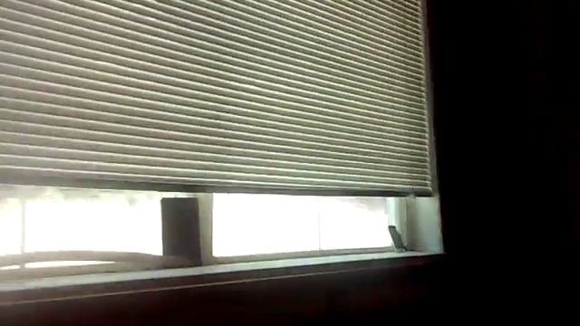 #RATCHET #WELFARECREW #TIANNA #SCREAMING & #PEEPING @MYWINDOW #HARASSMENT 71116@326pm смотреть онлайн