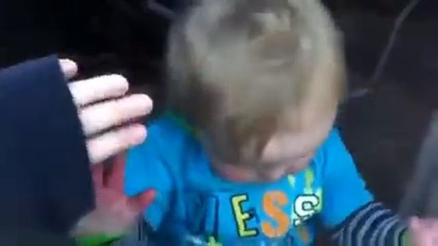 Alfie at the window :D смотреть онлайн