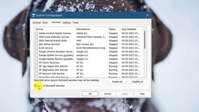How To Fix Application Encounted An Unexpected Error Bizzard Error In Windows смотреть онлайн