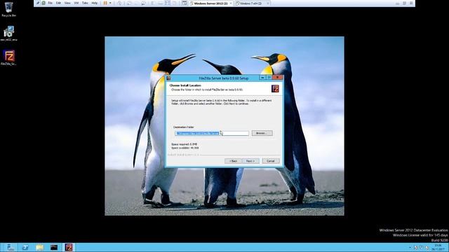 Windows Server Filezilla Server Kurulumu смотреть онлайн