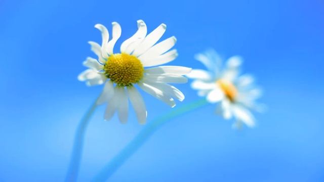 649743 windows infinity for newg смотреть онлайн