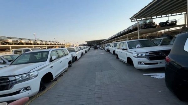 ОГРОМНЫЕ РАЗБОРЫ ОАЭ. Шарджа