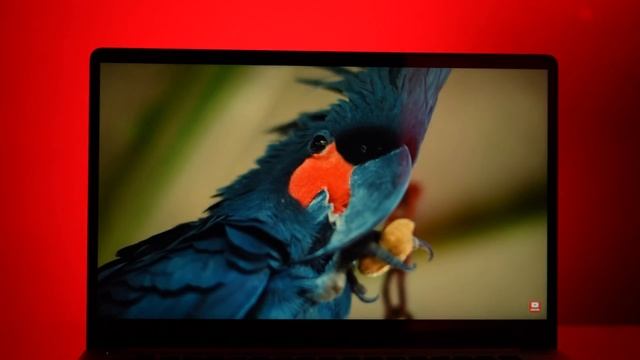 ಇಷ್ಟ್ ಕಮ್ಮಿಗೆ intel Core i9 ದೇವ್ರಾಣೆ ಯಾರು ಕೊಡಲ್ಲ⚡Infinix ZERO BOOK 13 intel Core i9-13900K, 32GB Ra смотреть онлайн