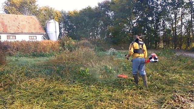 Hecht 163 munka közben. смотреть онлайн