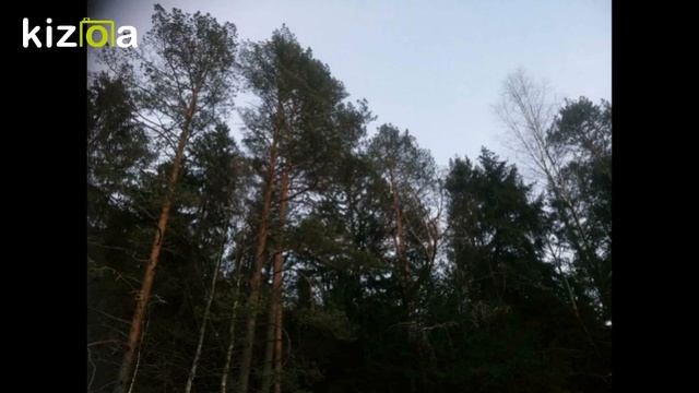Fresh start смотреть онлайн