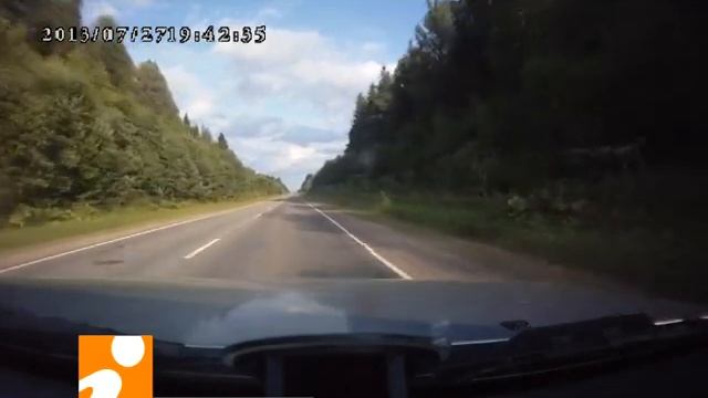 Борщевик в Тверской области смотреть онлайн