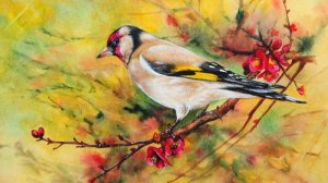 Ловля певчих птиц открытие сезона 2024-25