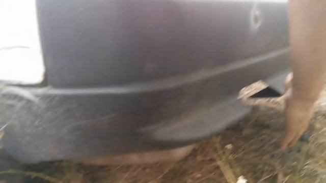 Москвич 2141 ЗМЗ Выхлоп смотреть онлайн