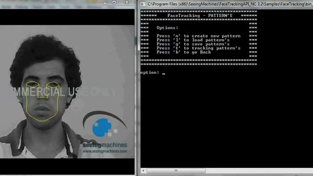 Projecto de Investigação Body Tracking - Face API смотреть онлайн