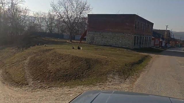 Тевзана,йолучу б1аьстенца смотреть онлайн