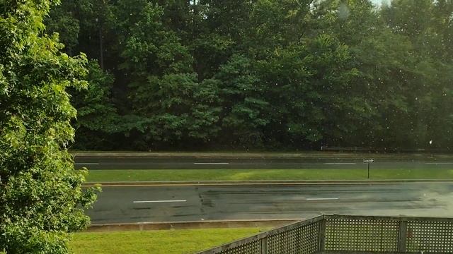 Watching the rain from the "tree house" window, part 2 смотреть онлайн