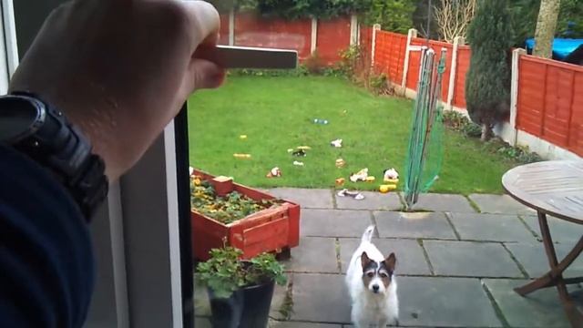 Dog goes mad when opening window смотреть онлайн