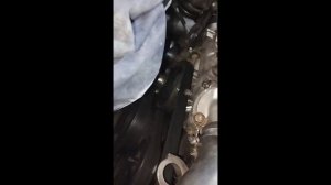 Замена ролика обводного ремня на автомобиле Мерседес  в кузове w203