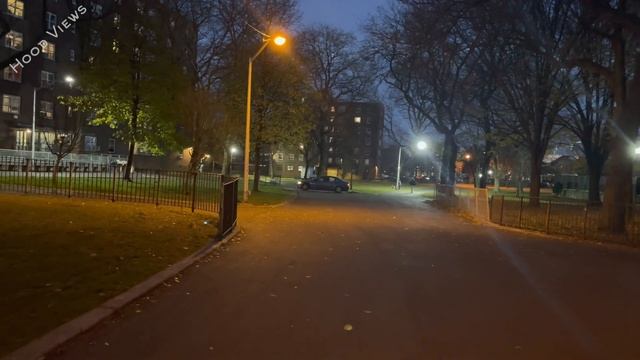 Welcome to Cypress Hills Project’s | East New York #hoodvlogs #brooklyn #nyc #hoodvlogs смотреть онлайн