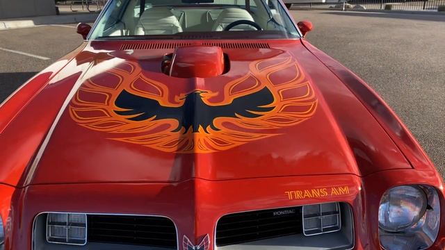 1975 Pontiac Trans Am 455 V8 FOR SALE Shaker Hood Dual Exhaust смотреть онлайн