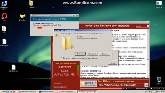 запуска 2 вируса на windows vista смотреть онлайн