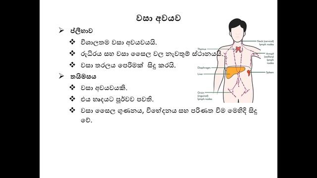 GCE A/L Biology | Lymphatic System and White Blood Cells | වසා පද්ධතිය හා සුදු රුධිරාණු смотреть онлайн
