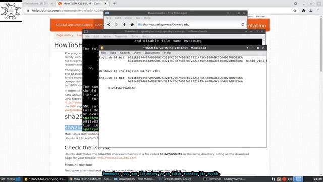 Linux: Get Windows 10 21H1 ISO смотреть онлайн