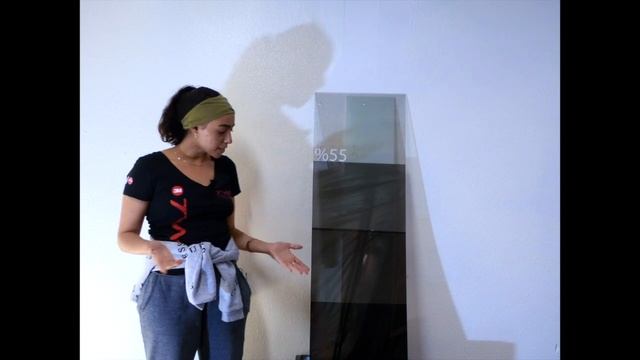 Why Should I Get My Windows Tinted in the Winter смотреть онлайн