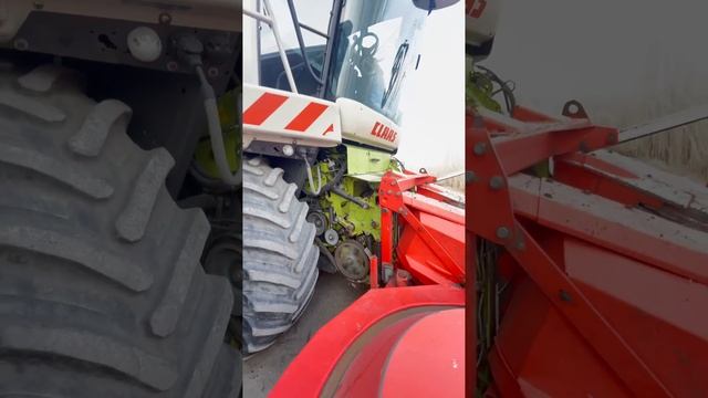 🚜Jaguar 850 📅Yili 2007 ♻️Xolati alo 🏡Farg'ona viloyati 💵Narxi:150000$ ☎️Tel:916901095 📱908387774 смотреть онлайн