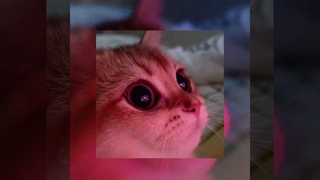 Cigarettes out the window смотреть онлайн