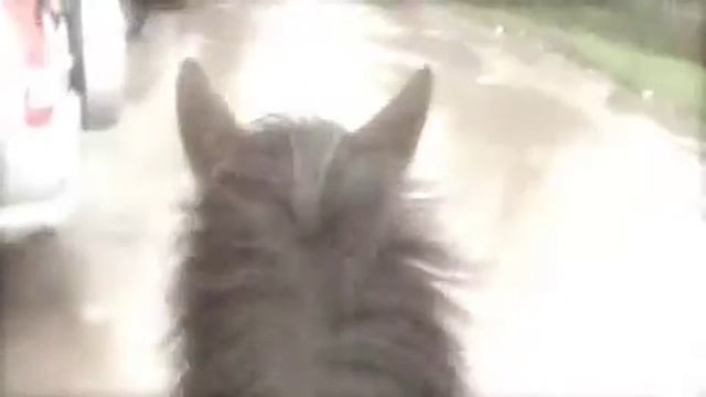 Delilah & Fly! x The beginning, of IMAC! haha:P xxx смотреть онлайн