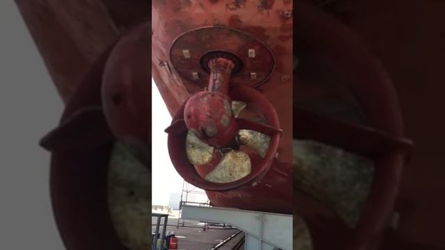 Podded propulsion in action смотреть онлайн