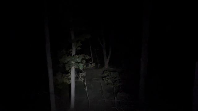 Sofirn SC18 Flashlight: GREAT DEAL! Less Than $20 For 1800 Lumens | Sleeper Brand?