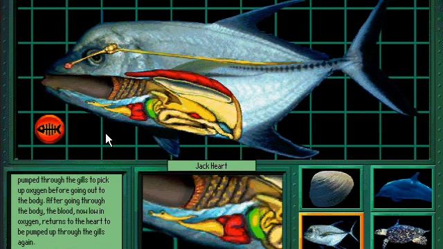 Undersea Adventure (Windows Version) Marine Animal Lab: Jack (Fish) смотреть онлайн