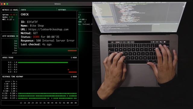 Binocs uptime monitoring tool demo смотреть онлайн