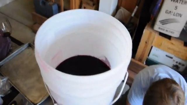 Lazy Dog 2009 Bottling.wmv смотреть онлайн