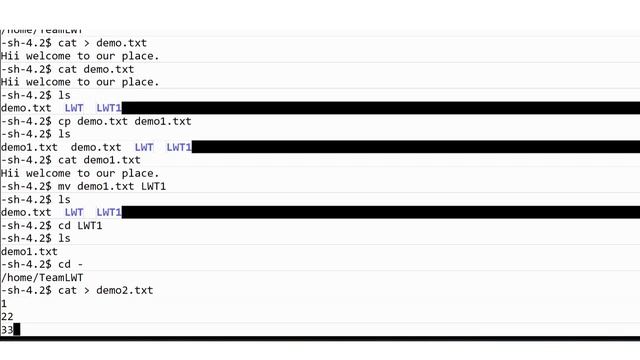 Linux Basic commands смотреть онлайн
