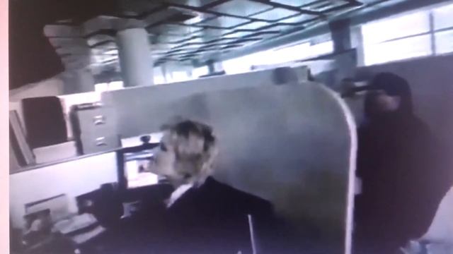 Microsoft Windows XP Television Commercial 2001 HD смотреть онлайн
