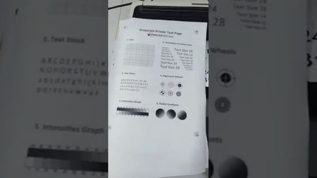 HP laserJet 2014 siêu bền, in nhanh, bản in đẹp như máy mới.VID20211125073251 смотреть онлайн