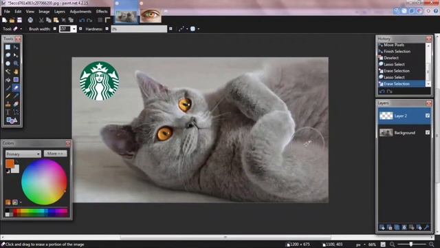 How to Color Eyes Very Easy Way Using Paint.net смотреть онлайн