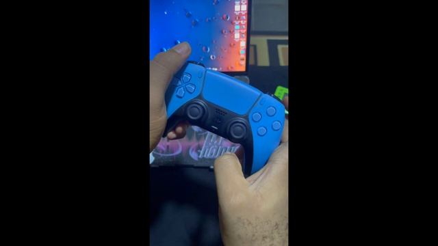 PS4 / PS5 REMOTE PLAY ON MACBOOK/PC SETUP GUIDE смотреть онлайн