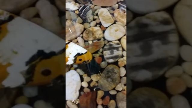 Bathroom Resin Epoxy Koi Pond pebble Floor смотреть онлайн