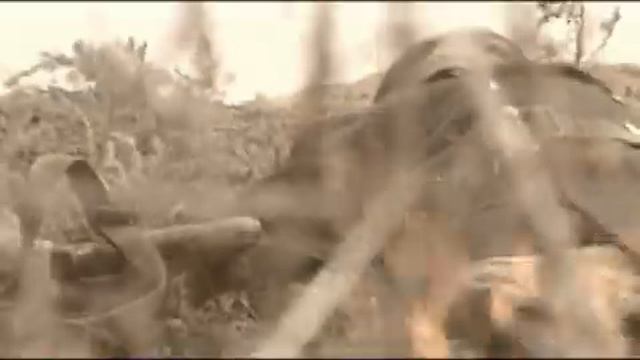 Меиржан Ермегияев - Алкисса смотреть онлайн