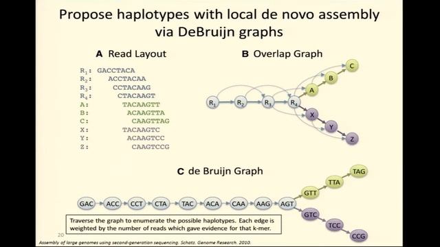 BroadE: Calling variants смотреть онлайн