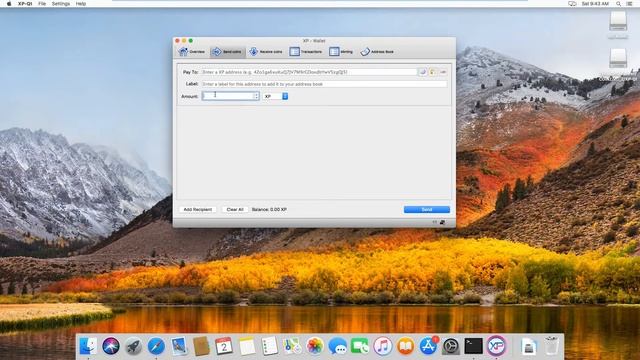 Mac OS XP Wallet Installation смотреть онлайн