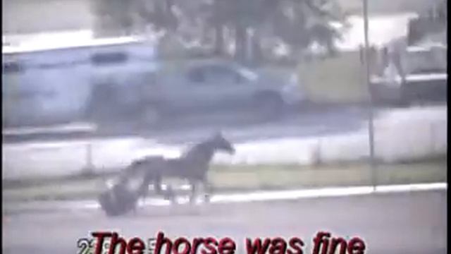 From my office window. Harness racing accident смотреть онлайн