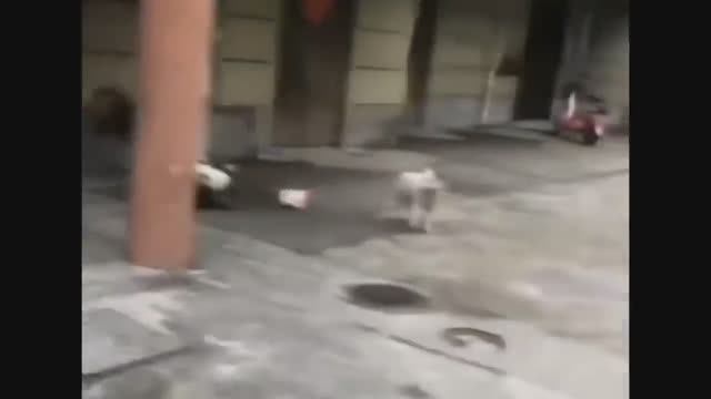 Memes Compilation #1